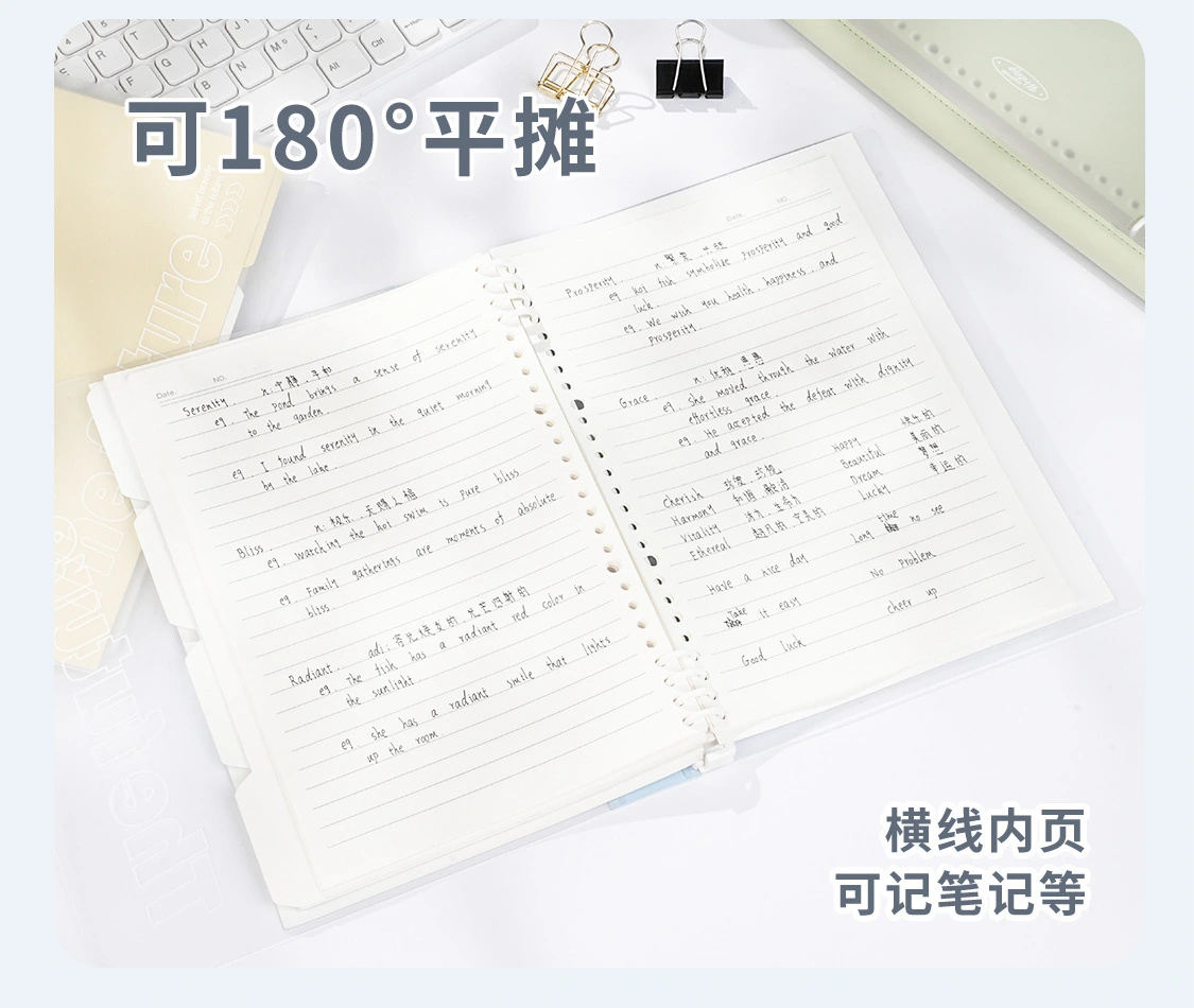 Ring binder notebook page and cover details